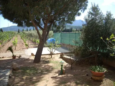 Giardino di B&B Il Vigneto