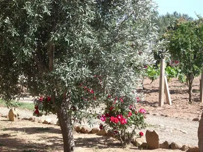 Giardino di B&B Il Vigneto