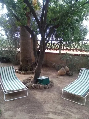 Giardino di B&B Il Vigneto