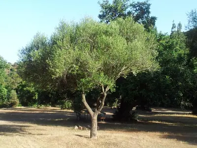 Paesaggio naturale nelle vicinanze della casa vacanze