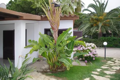 Giardino di Villa Caterina a pochi passi dalla spiaggia con 3 Camere e Giardino Privato