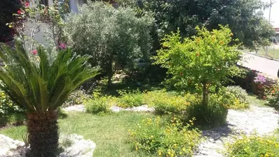 Giardino di B&B Ottoulivi