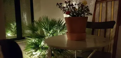 Planimetria di sa ribera