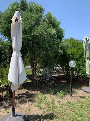 Giardino di Agriturismo Da Patrizia