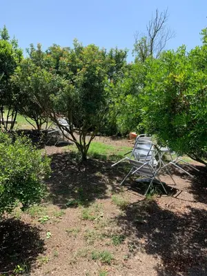 Giardino di Agriturismo Da Patrizia