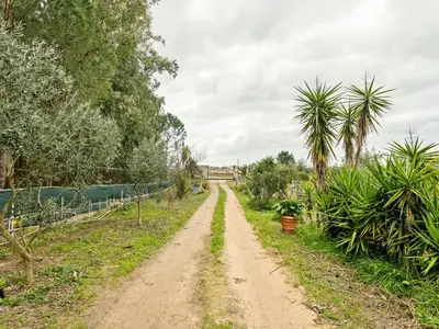 Giardino di Homes in the Lagoons of Santa Giusta