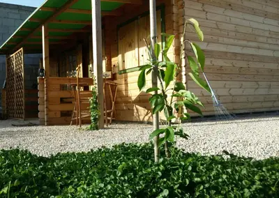 Giardino di B&b Ventuno Barumini