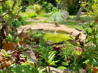 Giardino di Lananai - eco b&b