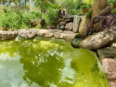 Paesaggio naturale nelle vicinanze della stanza in casa privata