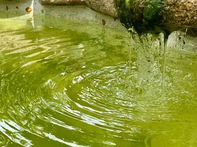 Paesaggio naturale nelle vicinanze della stanza in casa privata