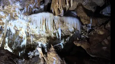 Paesaggio naturale nelle vicinanze dell'appartamento