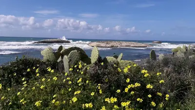 Paesaggio naturale nelle vicinanze del bed & breakfast