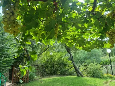 Giardino di Verde e Mare