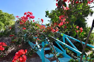 Giardino di Casa Simonetta