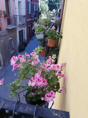 Giardino di BubiBì