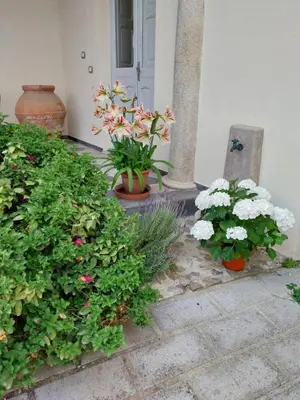 Giardino di Villa Mostallino