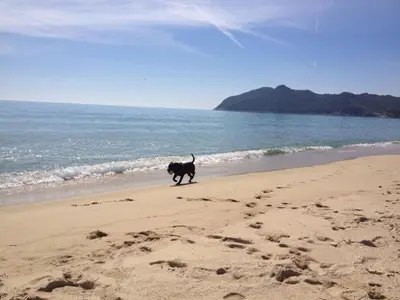 Paesaggio naturale nelle vicinanze della casa vacanze