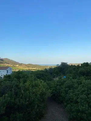 Paesaggio naturale nelle vicinanze dell'appartamento