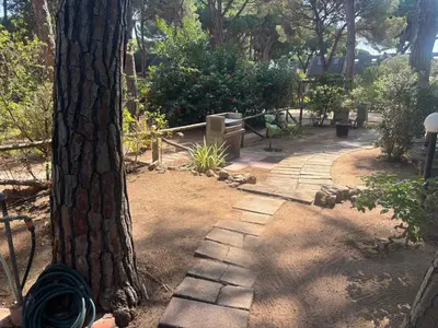 Giardino di Deliziosa villetta sul mare