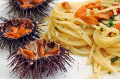 Cibo presso l'appartamento o nelle vicinanze