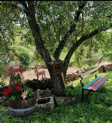 Giardino di Casa Vacanze Janas