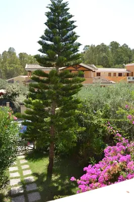Giardino di Villetta Sa Speciosa