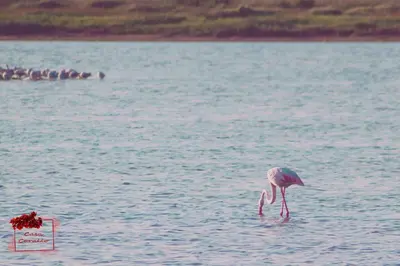 Paesaggio naturale nelle vicinanze dell'appartamento