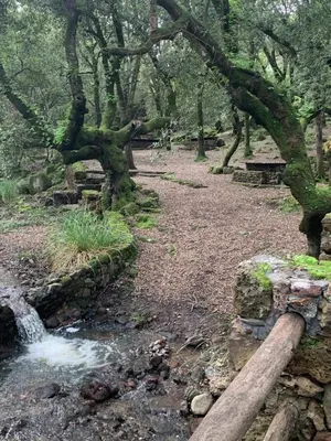 Paesaggio naturale nelle vicinanze dell'agriturismo