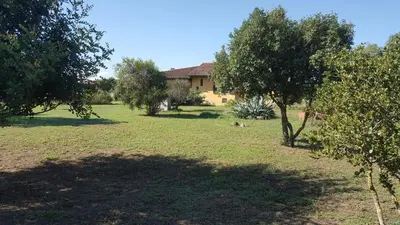 Giardino di Casa di Roby 4L