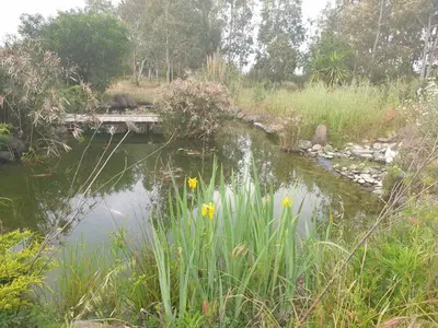 Paesaggio naturale nelle vicinanze dell'appartamento
