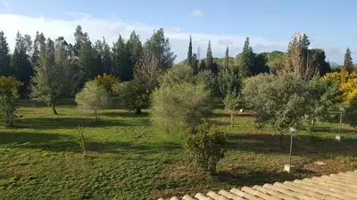 Giardino di Villa nel verde