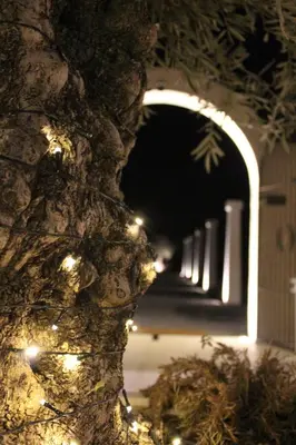 Planimetria di Villa Corte Maddalena