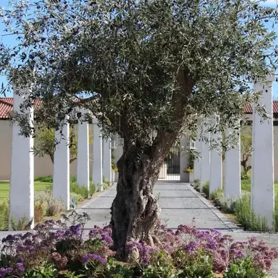 Villa Corte Maddalena