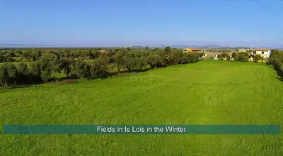 Paesaggio naturale nelle vicinanze dell'appartamento