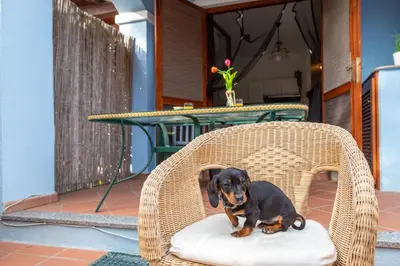 Ospiti di Casa Raftin con animali domestici