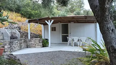 Giardino di Garden House Q4527
