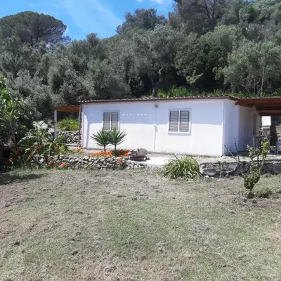 Garden House Q4527