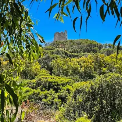 Torre di Chia Holiday Home IT11101CR