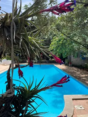 Piscina di Big relax apartment with swimming pool and a peaceful garden in a private villa o nelle vicinanze