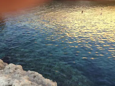 Paesaggio naturale nelle vicinanze dell'appartamento
