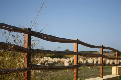 Planimetria di Sa Cannizzada