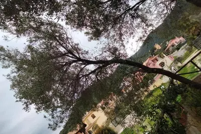 Paesaggio naturale nelle vicinanze della casa vacanze