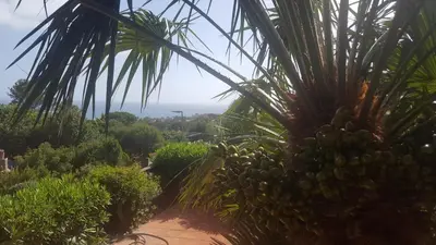 Paesaggio naturale nelle vicinanze dell'appartamento