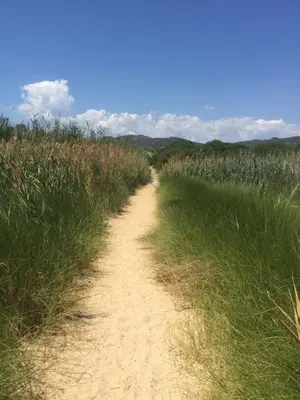 Paesaggio naturale nelle vicinanze della casa vacanze