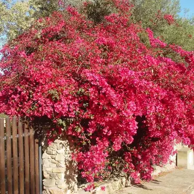 Casa a 300mt.dal mare CalaSinzias
