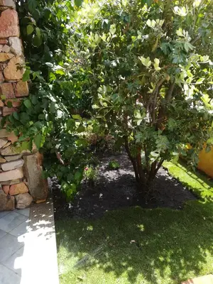Giardino di Villino del Pepe Rosa