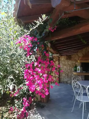 Giardino di Villino del Pepe Rosa