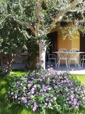 Giardino di Villino del Pepe Rosa