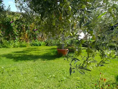 Giardino di Kiteshomes