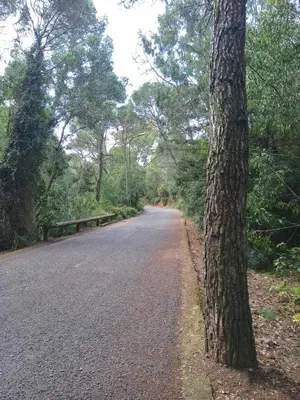 Paesaggio naturale nelle vicinanze dell'appartamento